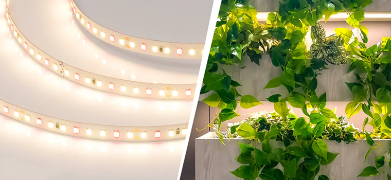 Лампы для домашних растений и подсветка для рассады
