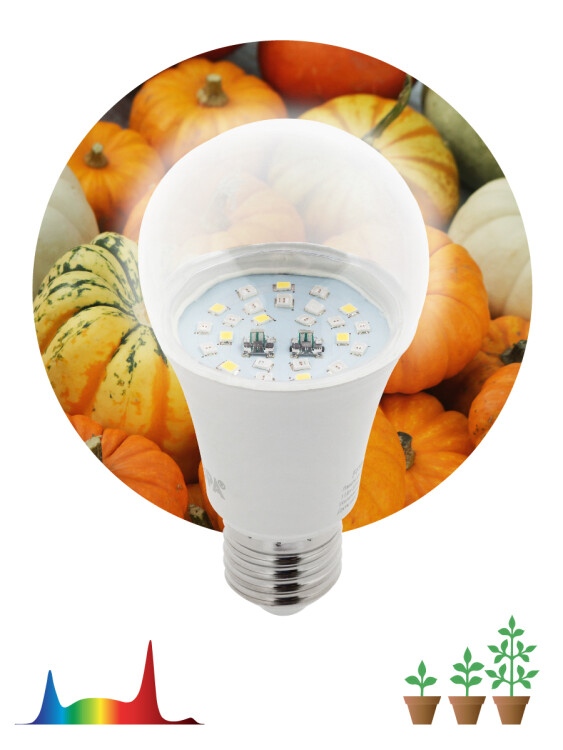 Лампа (LED) для растен. Груша Е27 11Вт полн. спектр 230В прозр. FITO ЭРА
