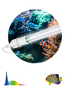 Фитолампа для растений светодиодная ЭРА FITO-15W-Ra90-Т8-AQUA для аквариума, 15 Вт, полный спектр-