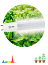 Лампа (LED) для растен. (рассада) T8 1200мм G13 18Вт 32,4 мкмоль/с 440...660нм 4000К 230В FITO ЭРА-
