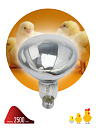 Лампа инфракрасная накал. (ИКЗ) R127 250Вт Е27 для обогрева животных и освещения ЭРА-