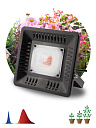 Прожектор Fito (LED) 50Вт 75 мкмоль/с 440:660нм 1370К цветение плоды IP65 ЭРА-