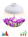 Светильник Fito (LED) 12Вт 15 мкмоль/с 380:780нм 4000К для комн. растений IP20 ЭРА-