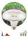 Лампа (LED) для растен. (рассада) R100 Е27 18Вт 36 мкмоль/с 380...780нм 2370К 230В FITO ЭРА-