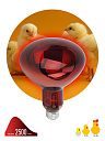 Инфракрасная лампа ЭРА ИКЗК 220-250 R127 для обогрева животных 250 Вт Е27-